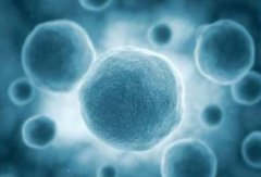 低压无油机推动发酵工程的前进